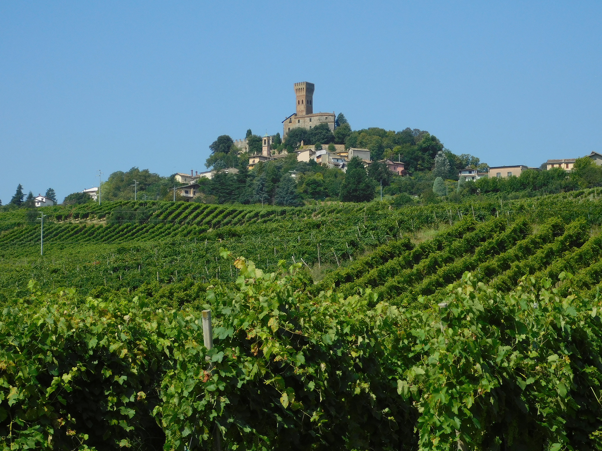 VIGNETI1